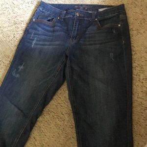 Melissa McCarthy Seven 7 jeans size 14w